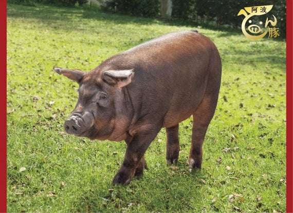 徳島県が誇る最高級ブランド豚 阿波とん豚 ロースしゃぶしゃぶ 2〜3人前