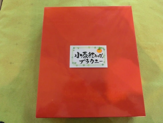 小原紅みかんブラウニー 10個入り詰め合わせ