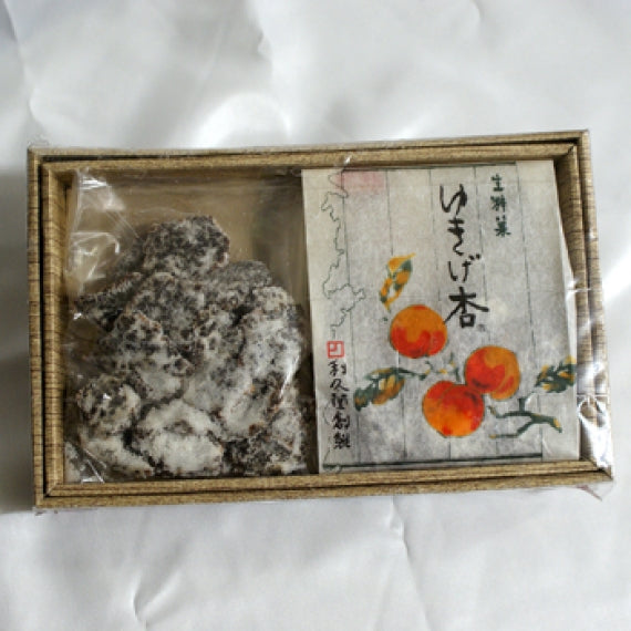 ゆきげ杏箱(2個入) 信州長野市のお土産
