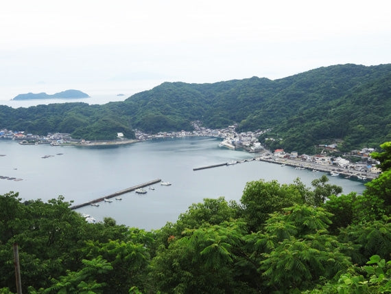 ■販売終了■河内晩柑の品種の中でも1番人気!”あいなんゴールド(河内晩柑)”約7.5kg 4L~2Lサイズ(12~18玉入)サイズ指定不可