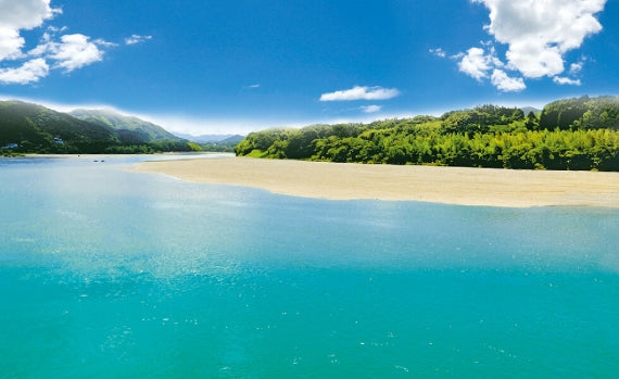 土佐料理 司「三代目 天の鰻 蒲焼き 単品」うなぎ 国産 高知県産【カニ・鮮魚・魚介類】
