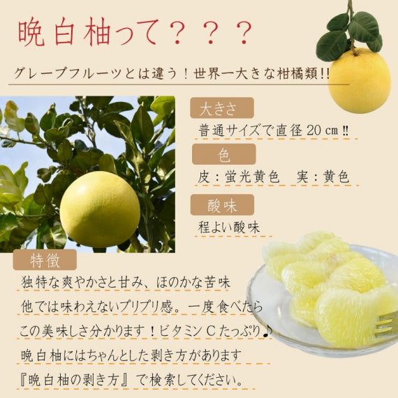 贈り物にもオススメ!『晩白柚もなか』6個入×3セット
