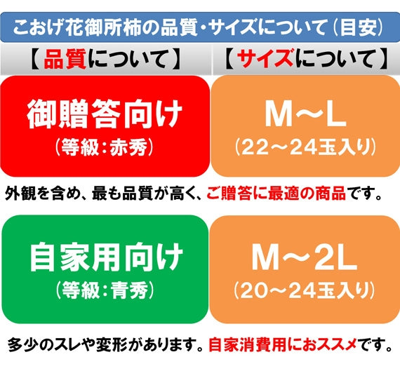 【鳥取特産】こおげ花御所柿 自家用5kg L~M 22~24玉【送料無料】【GI登録】【発送12月上旬】