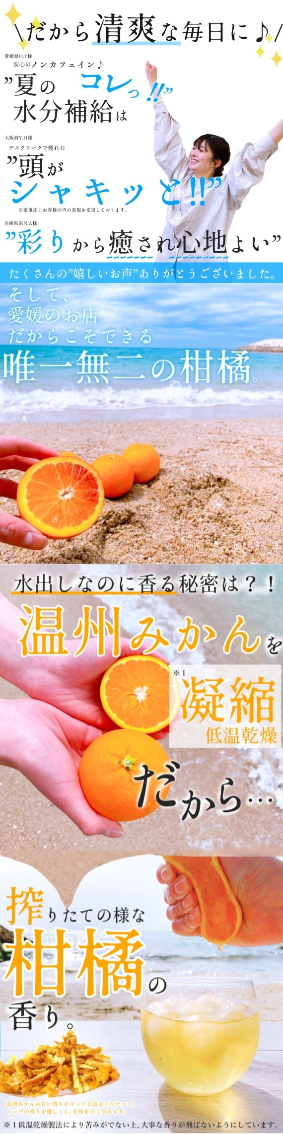 【送料無料・ネコポス便】水出し用『愛媛みかんのマートルブレンド』・お手軽・簡単