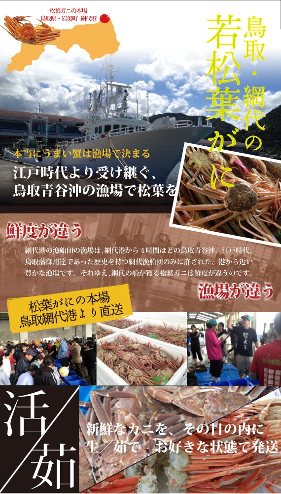 訳あり【茹で】若松葉ガニ(水ガニ)ファミリーセット(10肩/5枚分)