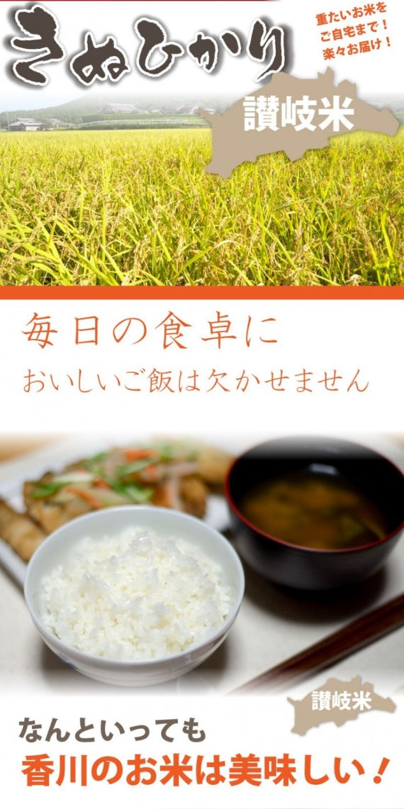 きぬひかり 香川県産 5kg 讃岐米 グルメ お歳暮 ギフト 食品 プレゼント 女性 男性 お祝い 新生活