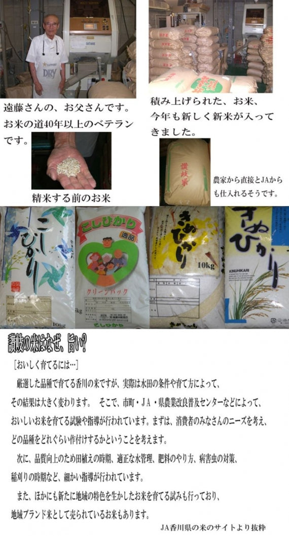 香川県産 こしひかり 玄米 5kg お歳暮 ギフト 食品 プレゼント 女性 男性 お祝い 新生活