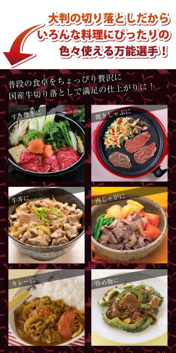 国産牛 切り落とし 牛肉 肉 贅沢 600g 300g×2 個包装 使い切り おすすめ こま切れ 買うほどオマケ付き