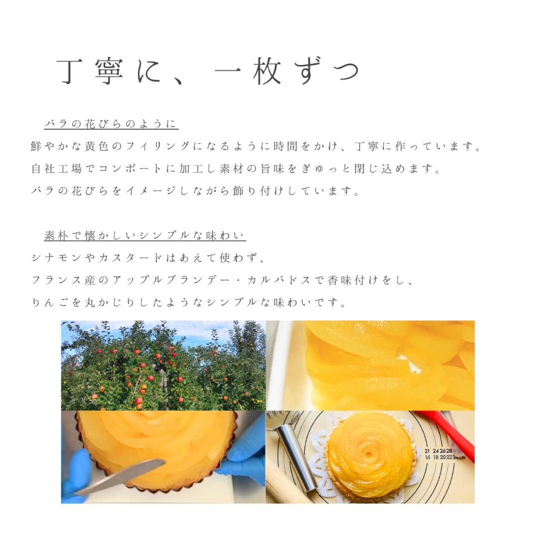 しあわせをよぶアップルパイ きいろいローズ【送料別】【タムラファーム】