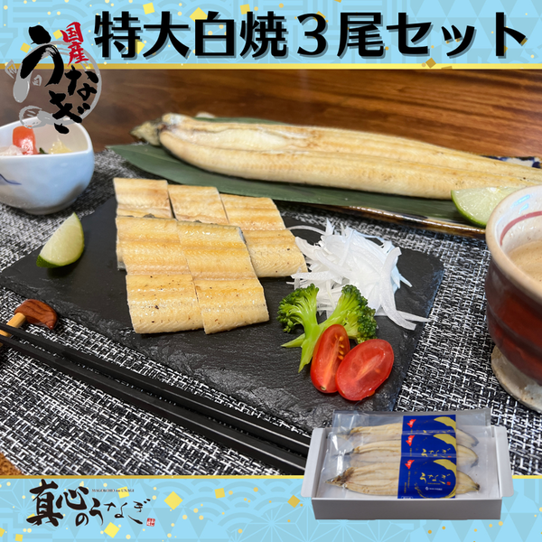 【宮崎県産うなぎ】うなぎ白焼特大3尾セット お歳暮 国産鰻 送料無料