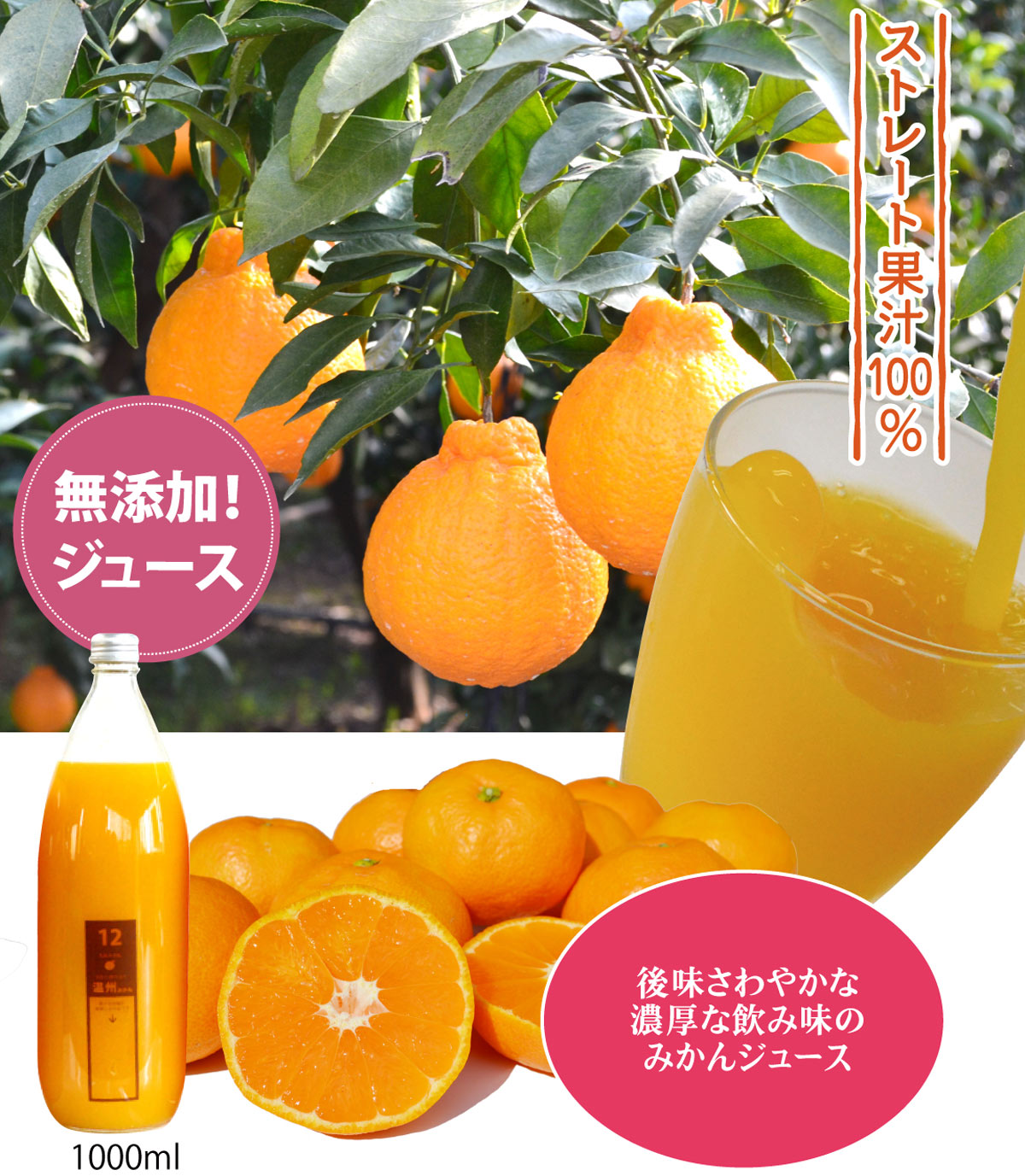 贅沢搾り★柑橘ジュース（ストレート果汁100％）
