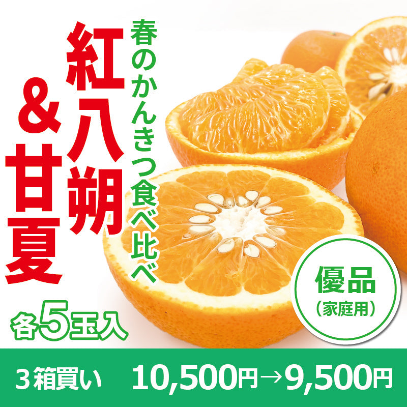 ※今季販売終了※【送料無料】春のかんきつ食べ比べセット「紅八朔&甘夏」〈優品・家庭用〉各5玉 ※3月下旬頃より順次発送開始予定。