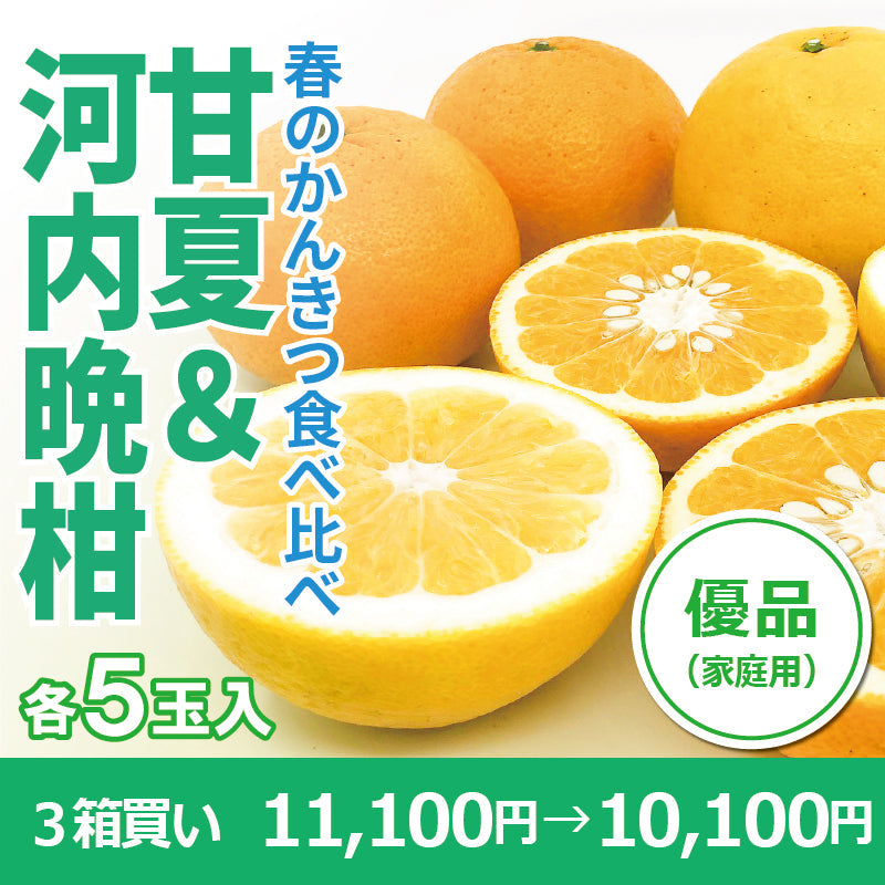 ※今季販売終了※【送料無料】初夏かんきつ食べ比べセット「甘夏&河内晩柑」〈優品・家庭用〉各5玉