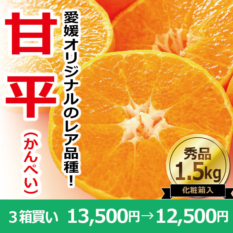 ※今季販売終了※【送料無料】高級ブランドかんきつ「甘平(かんぺい)」〈秀品・化粧箱 小〉約1.5kg(2L~3L/5~6玉)※贈答用におすすめな2L・3Lのみをお詰めします! ※発送は1月下旬~2月上旬予定