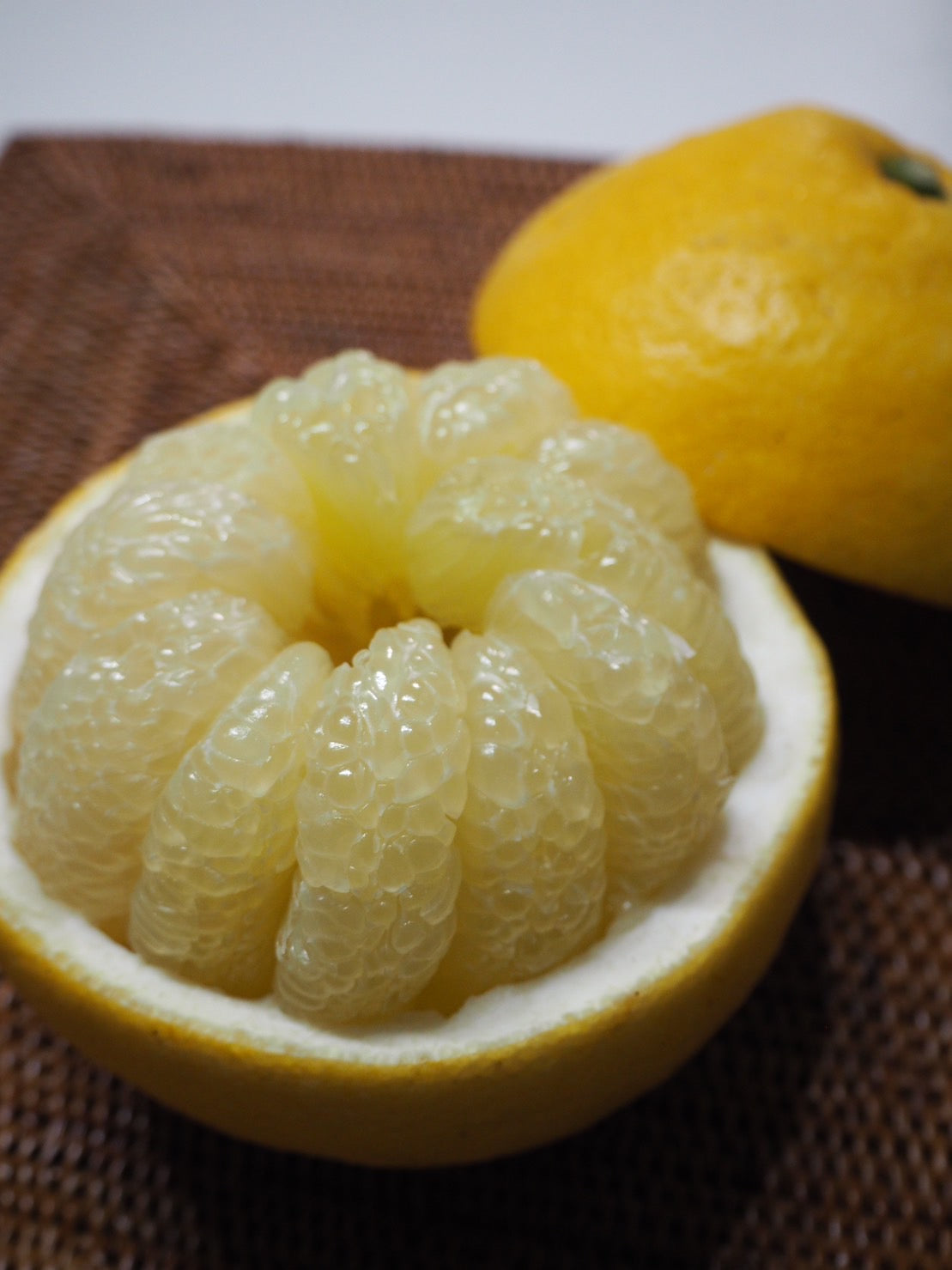 「送料無料」【でっかい土佐文旦】10キロ大箱【ギフト可】(大玉4L:12~16個){送料無料}