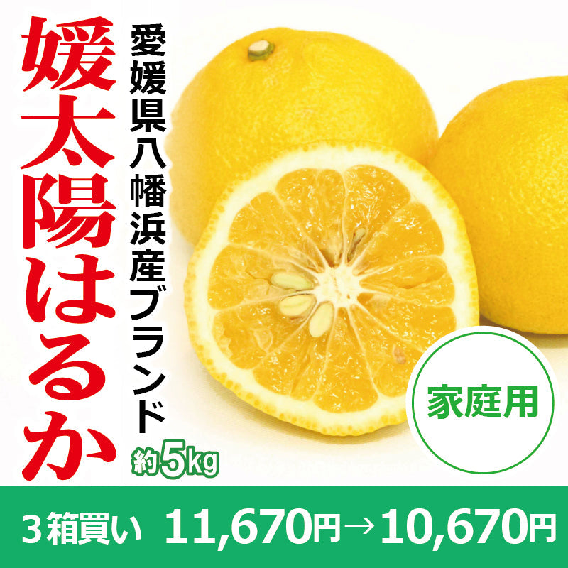 ※今季販売終了※【送料無料】愛媛県産「はるか」‐媛太陽はるか-〈家庭用〉約5kg