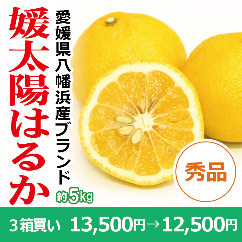 ※今季販売終了※【送料無料】愛媛県産「はるか」-媛太陽はるか-〈秀品〉約5kg