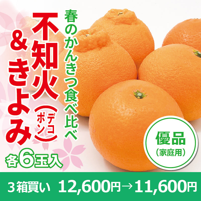 ※今季販売終了※【送料無料】春のかんきつ食べ比べセット「不知火(デコポン)&きよみ」〈優品・家庭用〉各6玉 ※3月中旬頃より順次発送開始予定。