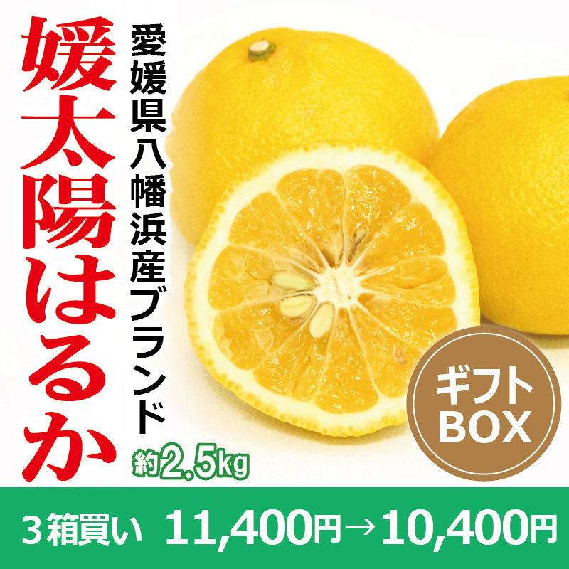 ※今季販売終了※【送料無料】愛媛県産「はるか」-媛太陽はるか-〈秀品・ギフトBOX〉約2.5kg