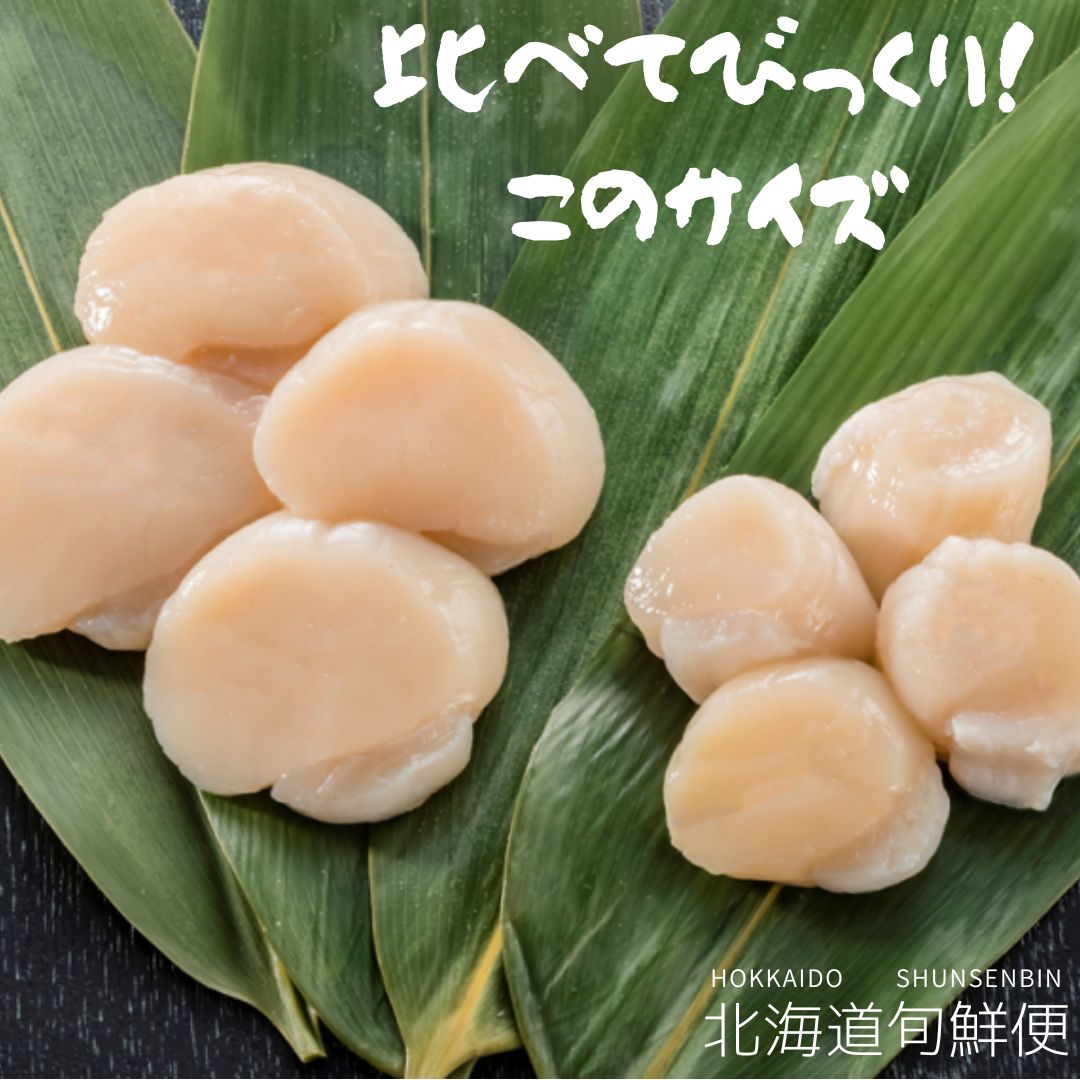 【北海道産】【全国送料無料】ホタテ貝柱/刺身用/サイズミックス3S~4S