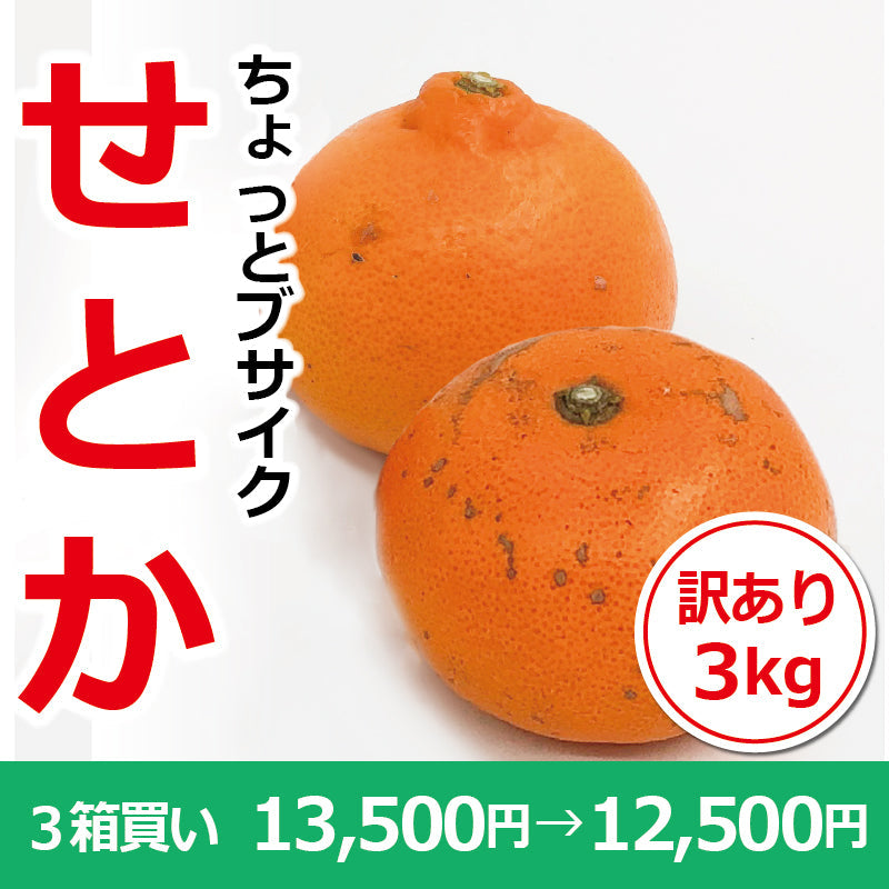 ※今季販売終了※【送料無料】訳あり「ちょっとブサイクせとか」約3kg ※発送は2月中旬~3月中旬予定