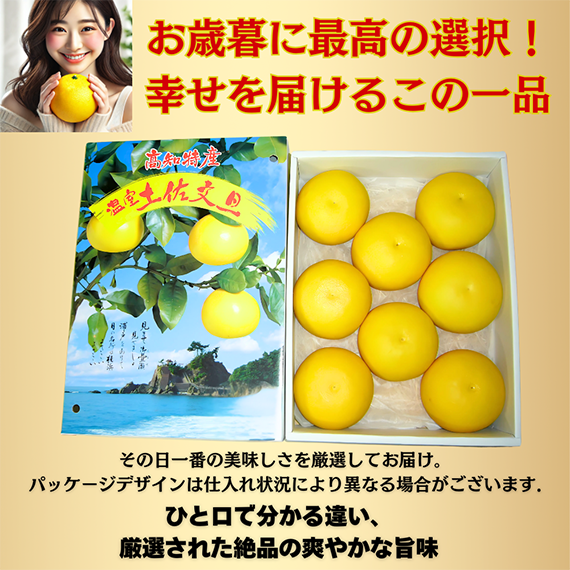 厳選プロの目利き温室土佐文旦 贈答用 大玉 3kg~ (2024年11月30日~発送開始 )ぶんたん ブンタン 高知 お歳暮 冬ギフト みかん 国産みかん 果物 柑橘 フルーツ 贈答用 ギフト 旬 冬 春 美味しい 甘 お取り寄せ ふるさと納税 人気