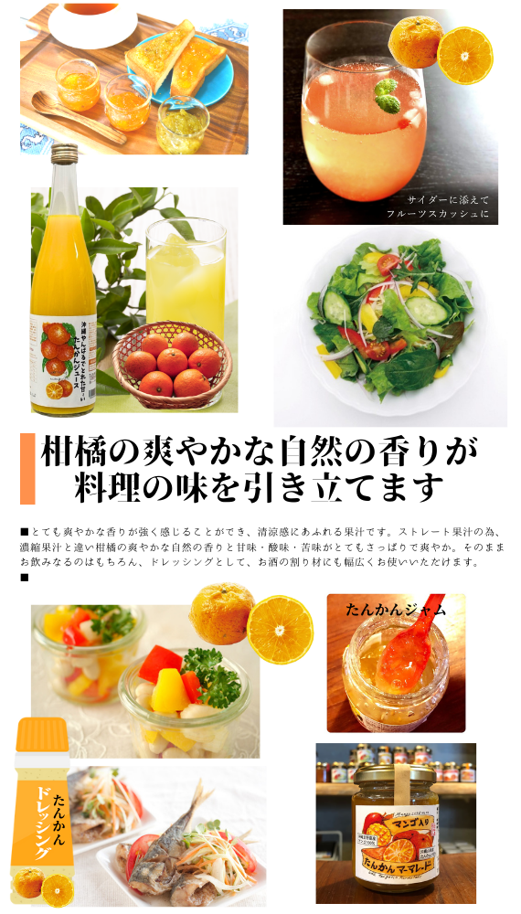 【送料無料】沖縄やんばるでとれた甘~いたんかんジュース ストレート果汁100%
