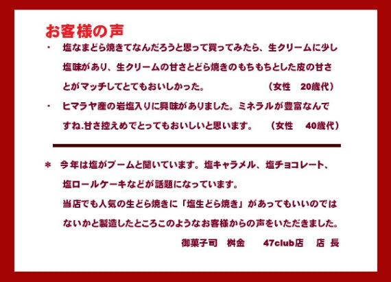 ヒマラヤ産岩塩入り 塩生どら焼き 10個入り
