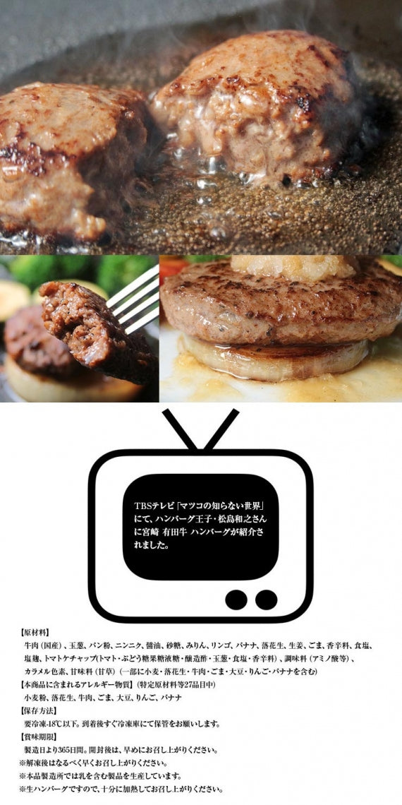 お歳暮 御歳暮 プレゼント ギフト ハンバーグ 有田牛 宮崎県産 黒毛和牛 EMO牛 エモー牛 手ごねハンバーグ 100g×5個 冷凍食品 おかず お取り寄せグルメ  ハンバーグステーキ 卵不使用 焼き温めるだけ ホルモン剤不使用 抗生物質不使用 遺伝子組換え飼料不使用 ホルモンフリー