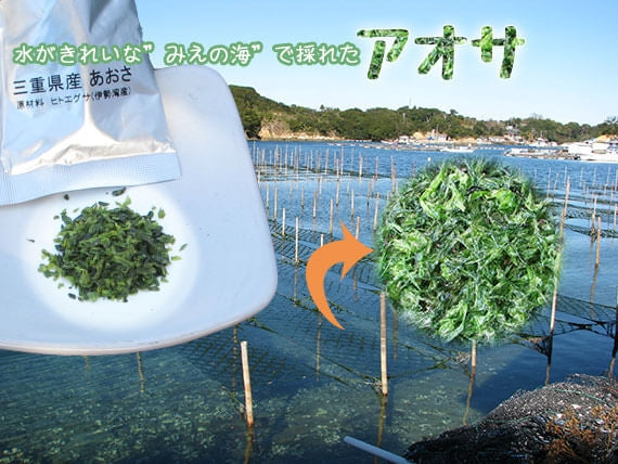 伊勢うどん あおさ付き 8食セット