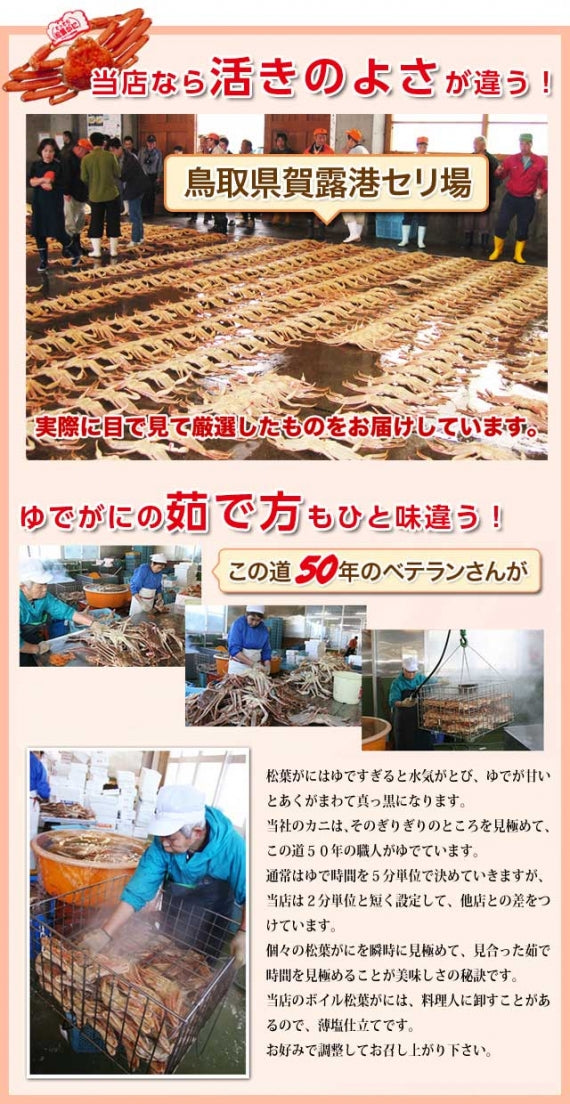 【先行ご予約販売】【鳥取賀露港直送】 松葉がに(オチ超特々大・ボイル) 1kg以上
