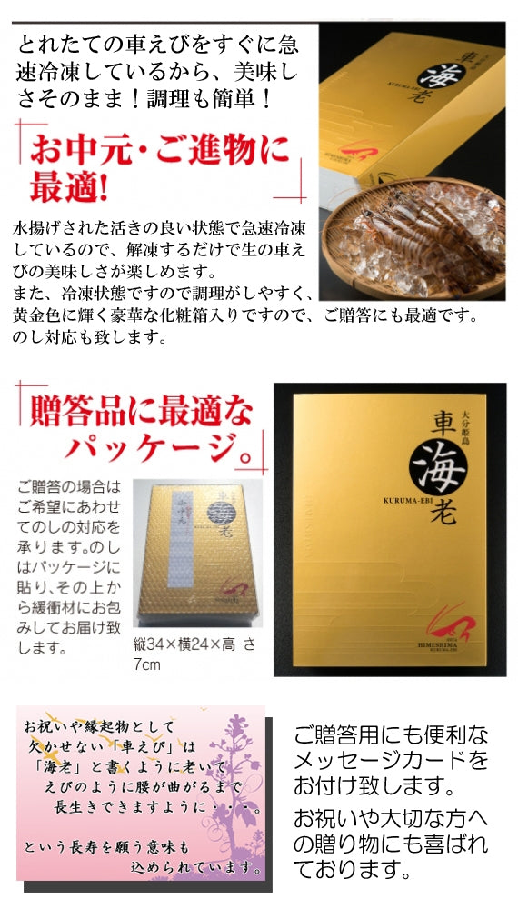 【売り切れました】姫島産活〆車えび600g(約15〜39尾)|10%OFF&送料無料|お刺身OK・プリプリ&ジューシーな料亭品質|急速冷凍×真空パックで旨み閉じ込め高鮮度キープ|ストレスフリー養殖×職人選別|ビタミンE・ミネラル豊富高たんぱく|父の日・敬老の日・お中元・お歳暮・長寿祝ギフトに最適|お家で料亭の味・冷凍庫常備で簡単調理|お取り寄せ海鮮通販