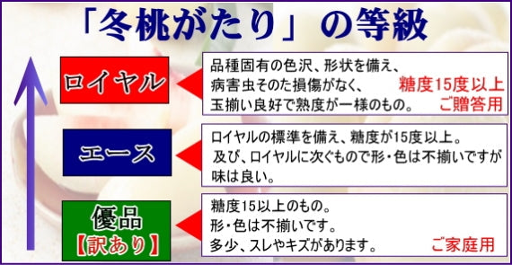 「岡山冬桃がたり」(光センサー選別 ・エース) 6個~9個1.3kg「小ぶりの桃です。」)【お歳暮2025】【フルーツ】