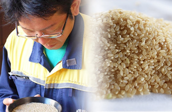 鳥取県産 もち米(白兎もち)1kg【おこわ・赤飯が絶品に!際立つ甘さともちもち食感】