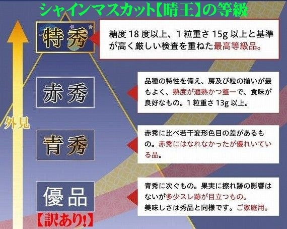 岡山県産 シャインマスカット【晴王】【赤秀】1房(約600g)JA全農おかやま