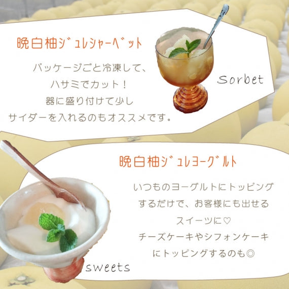 【贈り物にオススメ!】さっぱり晩白柚のデザート『晩白柚ジュレ』10パック