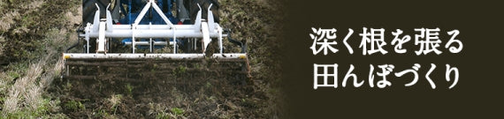 【完全無添加の杵つきもち】たなか餅(よもぎもち)【力強いコシと粘り】