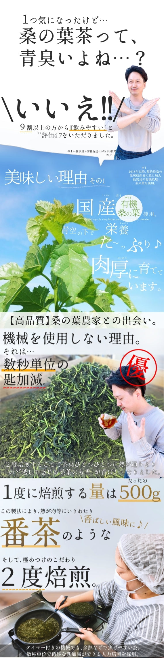 【予約商品★9月中旬発送】【1ヶ月分・送料無料】 冷んやりダイエット「毎日デトックスティー・ひめ桑茶」水出し用