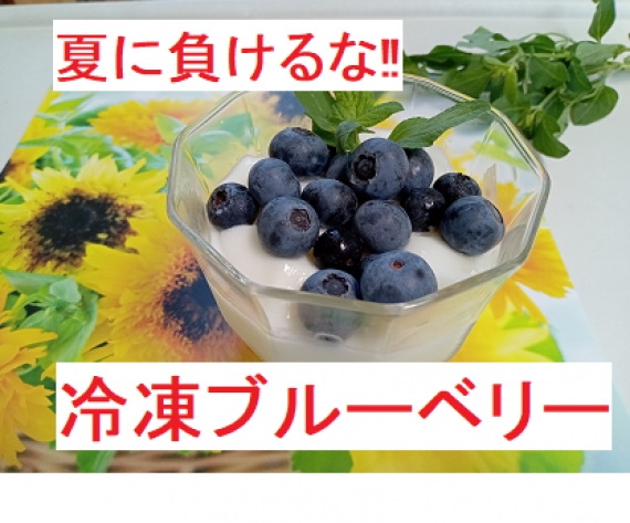 美味しさを食卓へ 大実で甘~い 阿蘇・西原村の「冷凍ブルーベリー」1キロ