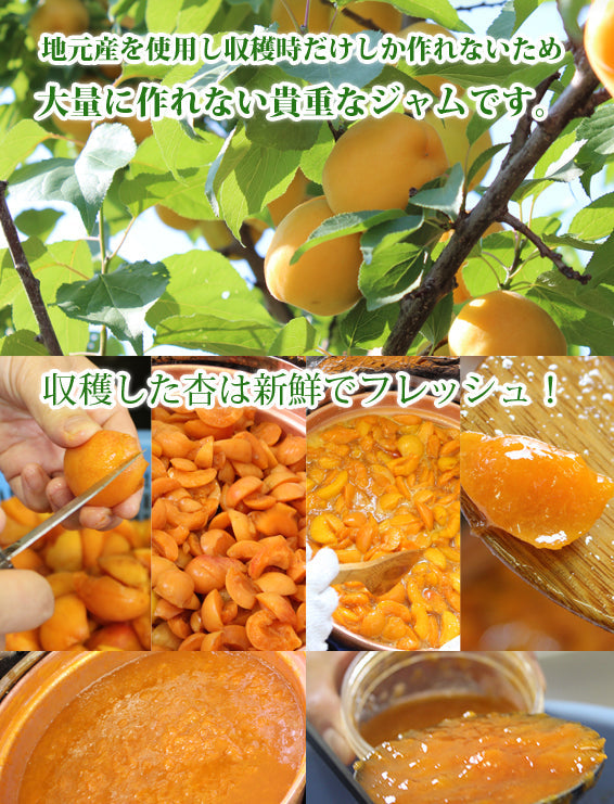 新発売★【47クラブ限定5箱】生杏ジャム2倍の濃厚プレミアム杏アイス(生杏ジャムハーコット使用) 6個セット【送料込み】