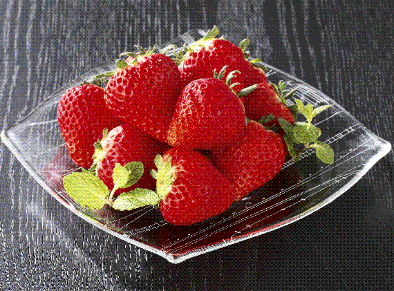 岡山県産 真っ赤な大粒いちごのビックリバスケット【大】(約1.2㎏)★凝縮されたジューシーな美味しさが最高です!発送は11月下旬から