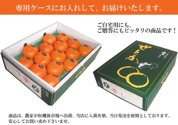 【販売終了】とろける食感!! 「せとか」(化粧箱入り)約3kg Lサイズ 15玉入り