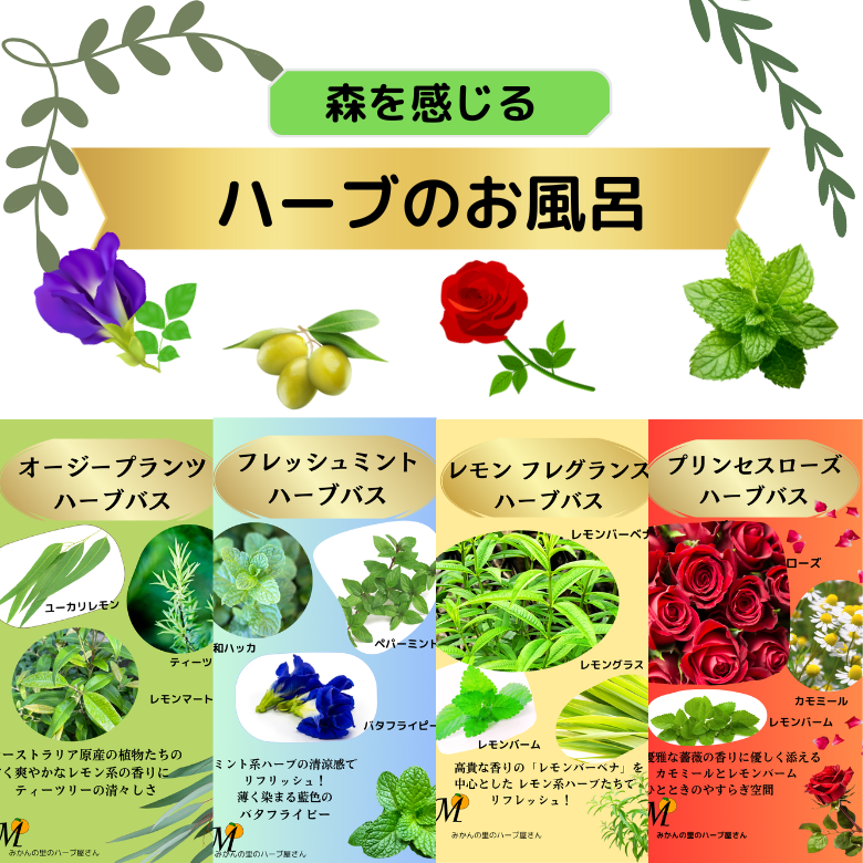 【2026年・お試し福袋】【4300円相当】香りを楽しむハーブの宝箱