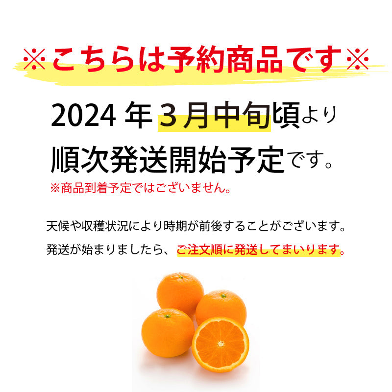 【2025年1月頃予約開始予定】媛太陽きよみ〈家庭用　約5kg〉愛媛県産・清見　【送料無料】