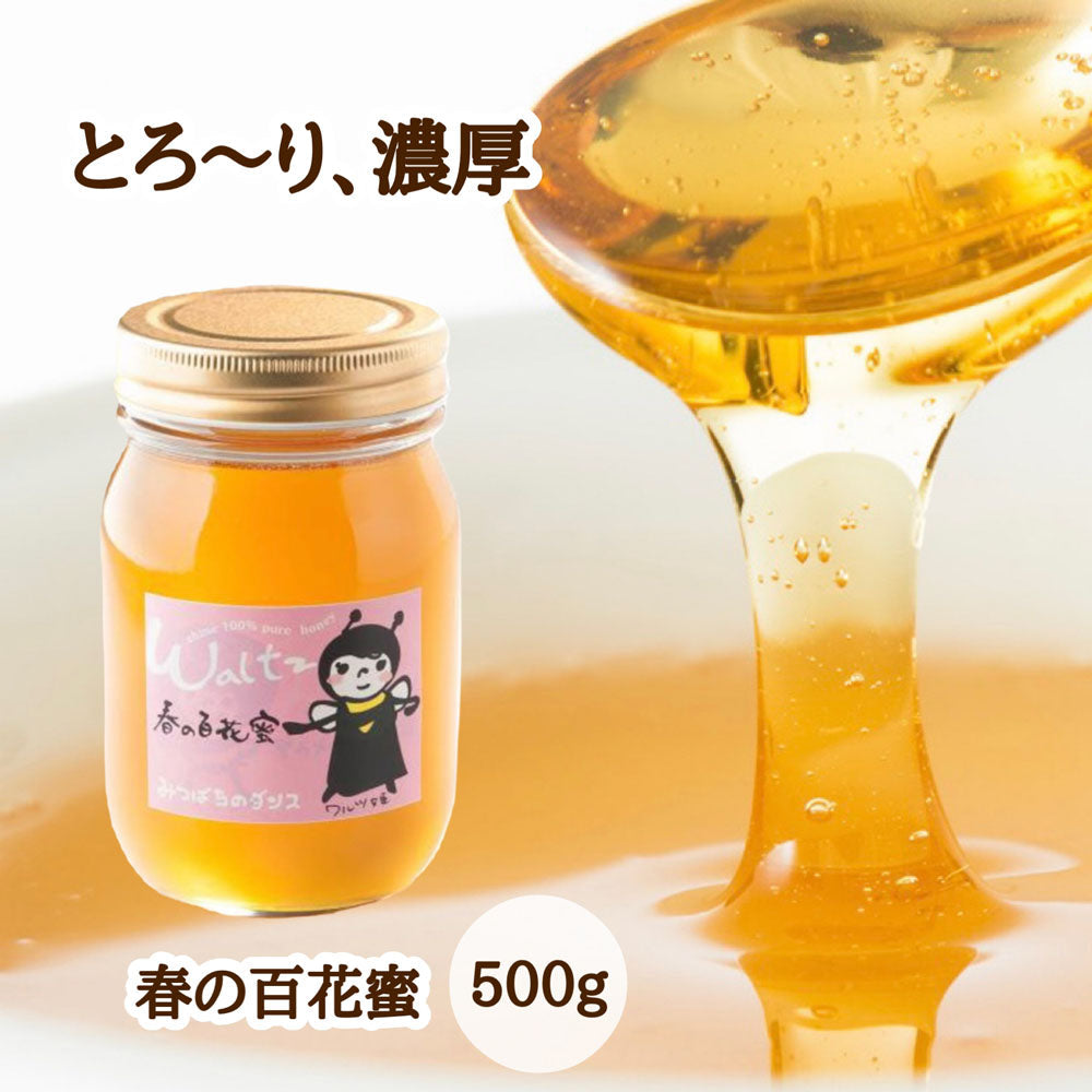 はちみつ 令和7年度産 新蜜 とろ~り、濃厚 「春の百花蜜」 愛媛県産 松山中島産純粋ハチミツ 春の百花蜜 500g