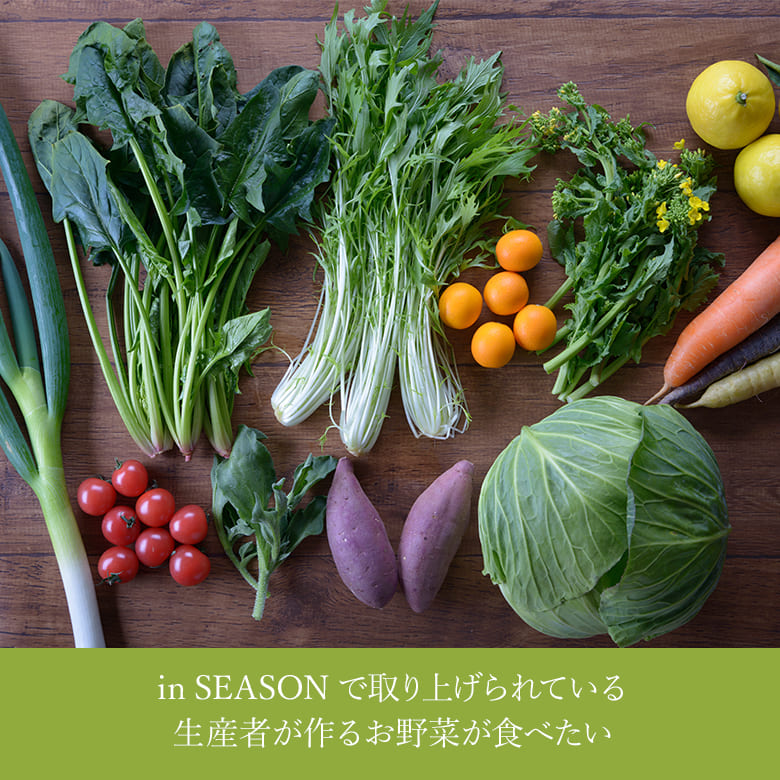 インシーズン野菜セット(9～10種)(宮崎産)