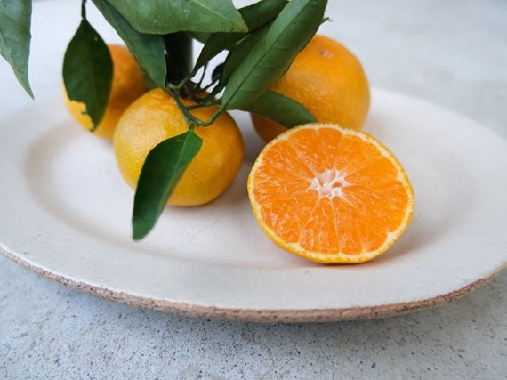 【送料込み】藤村さんの山北みかん5kg秀品(Mサイズ)