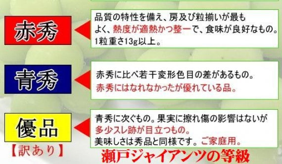 岡山特産「瀬戸ジャイアンツ」2房(約1.3kg)【赤秀】薄皮で皮ごと食べれて、しかも種無し!