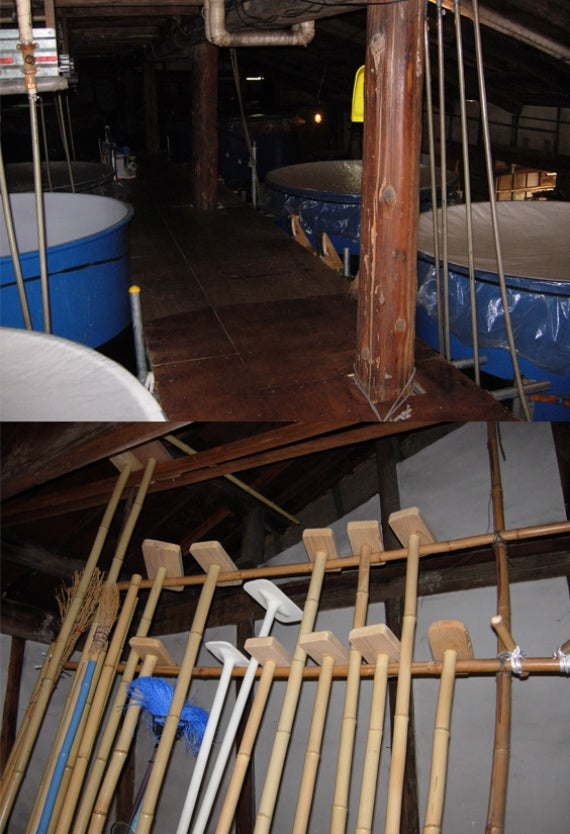 【送料込】「雨後の月」と「華鳩(ハナハト)」の雄町・こいおまち無濾過生原酒2本セット(数量限定)