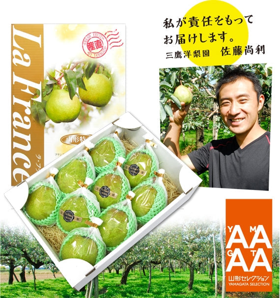 【山形セレクション認定】ラ・フランス 3Lサイズ3kg(9玉)化粧箱詰め★発送は10月下旬から★